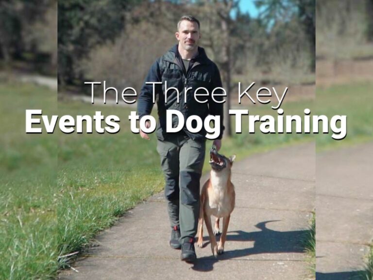 Nate Schoemer walking a dog on a path, symbolizing the practical application of structured dog training events.