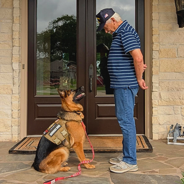 Man working with a service dog during training outside a home entrance