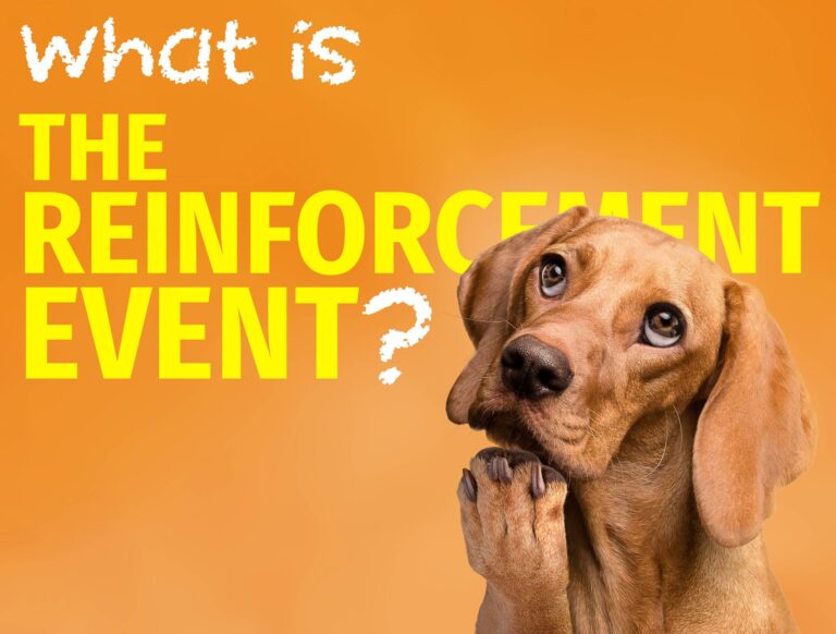 🔥 Top Viral-Style Titles "Stop Rewarding Bad Behavior: The Reinforcement Strategy Every Dog Owner Needs" "Say This One Word to Instantly Correct Your Dog’s Behavior (No Yelling Required)" "The Secret to Fixing Unwanted Behaviors Without Punishing Your Dog" "How Top Trainers Use ‘Teachable Moments’ to Shape Perfect Behavior" "Reinforcement vs. Correction: Why Most Dog Owners Get It Backwards" "Train Smarter, Not Harsher: The Psychology-Based Method That Works" "Why Saying ‘No’ Isn’t Enough—The Real Power Behind Reinforcement Events" "From Confused to Confident: How to Communicate Clearly With Your Dog" "Master the Marker System: The Training Technique That Changes Everything" "Get Your Dog to Listen Every Time: The Reinforcement Rule No One Talks About"
