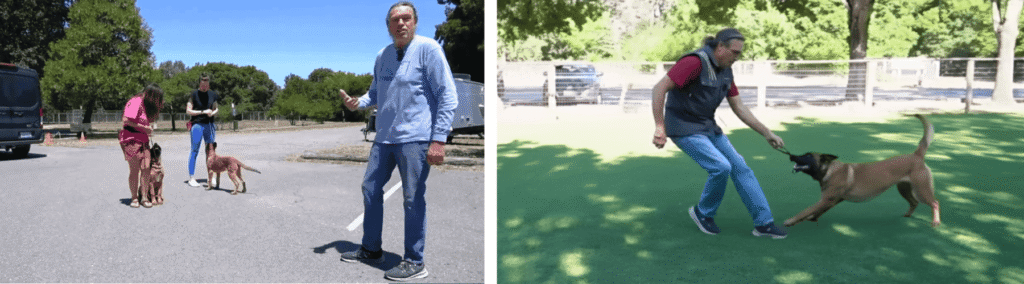 Michael Ellis explains the principles of socialization (left) and demonstrates advanced play and engagement with his Malinois, Snug (right).